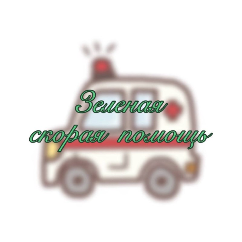 Зелёная скорая помощь: как разбирать проблемы растения по симптомам