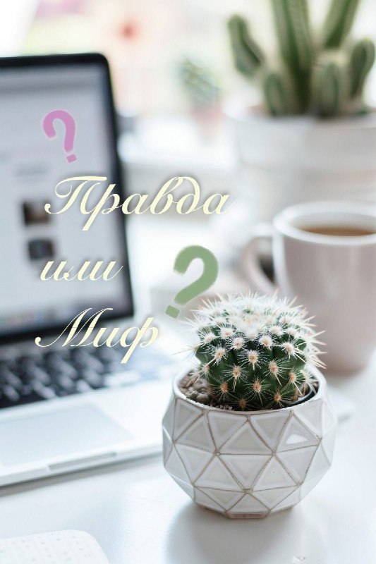 Проверка мифов о комнатных растениях